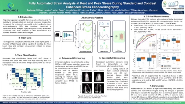 From apical views, longitudinal myocardial strain can be calculated. In