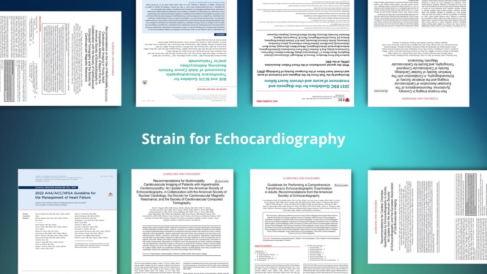 The value of strain in echocardiography: what the guidelines say - Ultromics